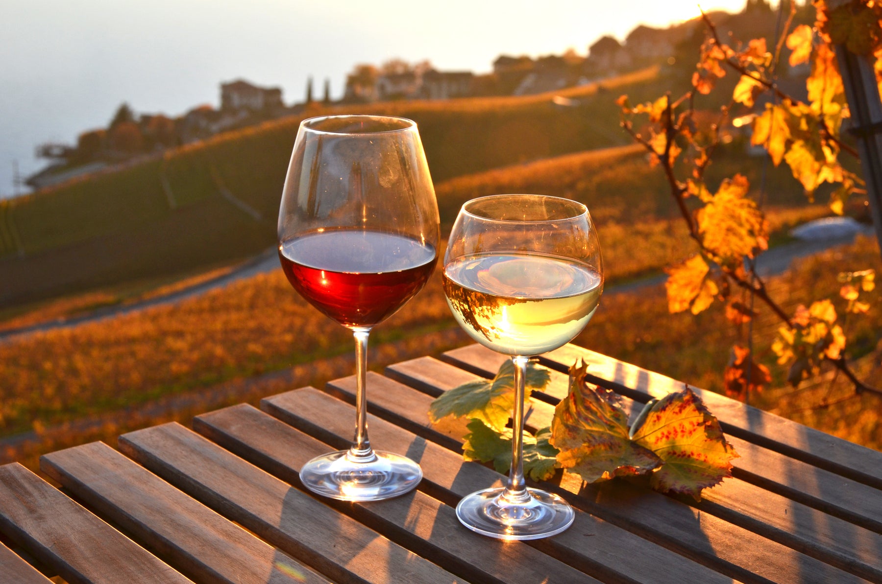 universal wine glass