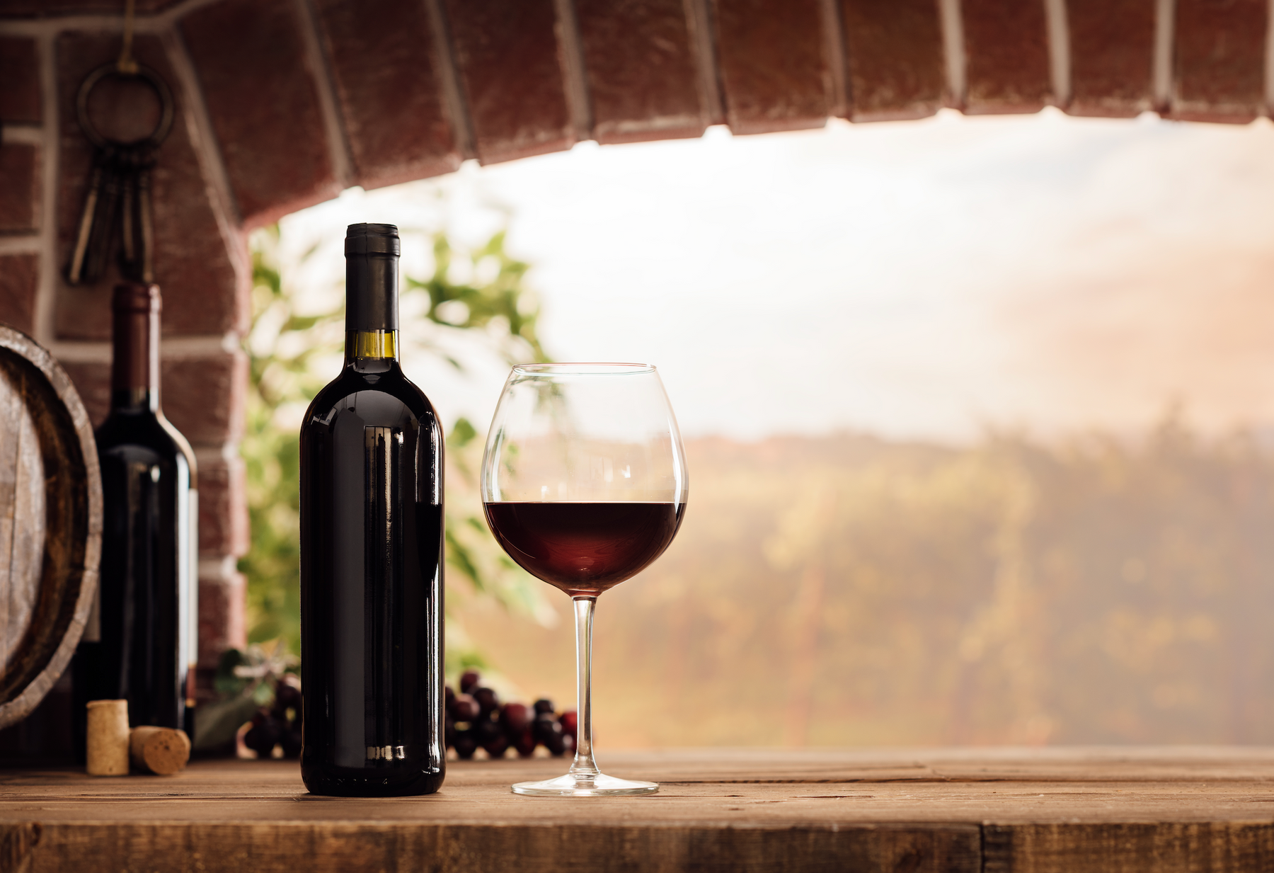 Climate and Wine: How Cool & Warm Climates Impact Wine