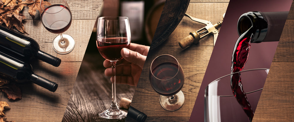 How to Drink Wine  Discover How to Properly Drink Red & White Wine for the  Best Experience – Usual