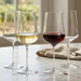 VYCE Universal Glass Inspiration Series - pair with red wine