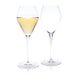 Two Champagne Glasses | Elemental Series - Grassl - CJF Selections