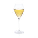 Champagne in Champagne Glass | Elemental Series - Grassl - CJF Selections